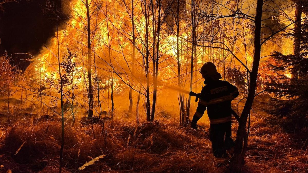 U Kozlova na Olomoucku hoří les, požár zasáhl plochu o rozloze pěti hektarů